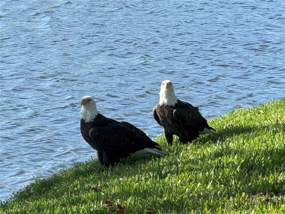 For Sale: $799,000 (3 beds, 2 baths, 2528 Square Feet)