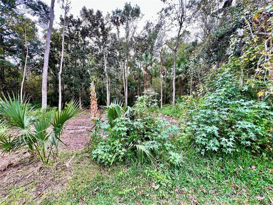 En Venta: $979,000 (5 camas, 3 baños, 2196 Pies cuadrados)