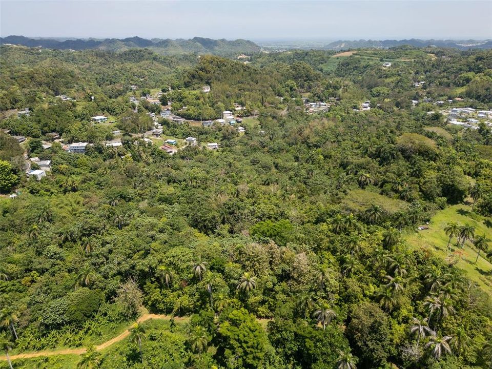 En Venta: $110,000 (7.90 acres)