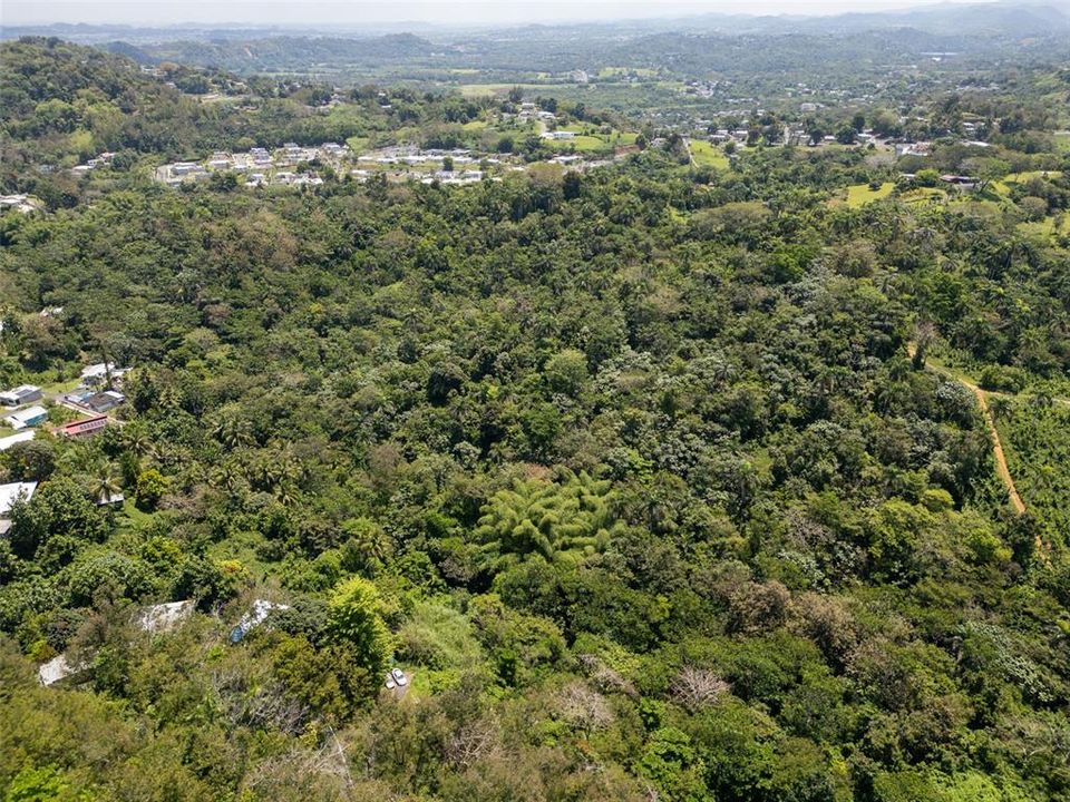 En Venta: $110,000 (7.90 acres)