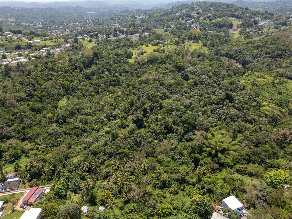 En Venta: $110,000 (7.90 acres)