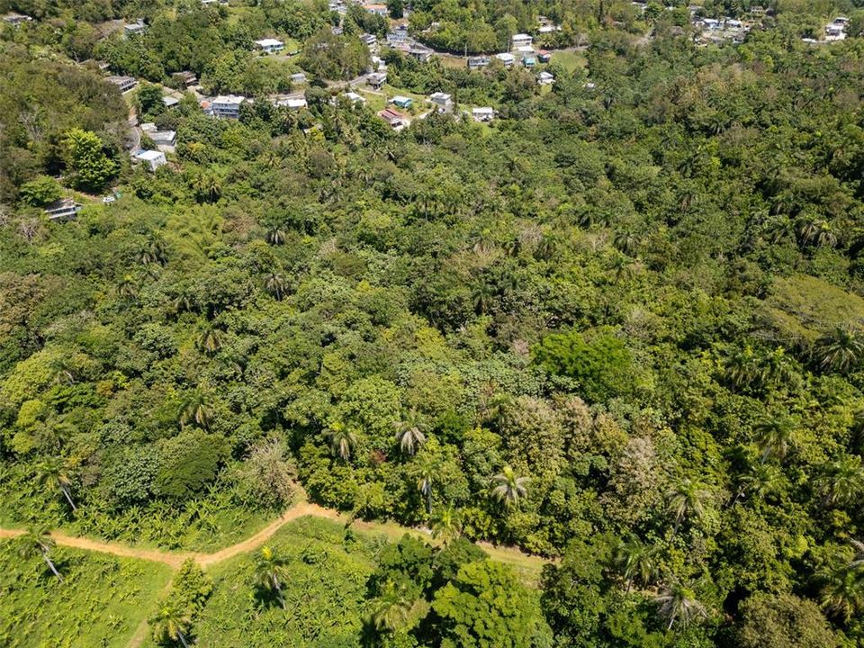 En Venta: $110,000 (7.90 acres)