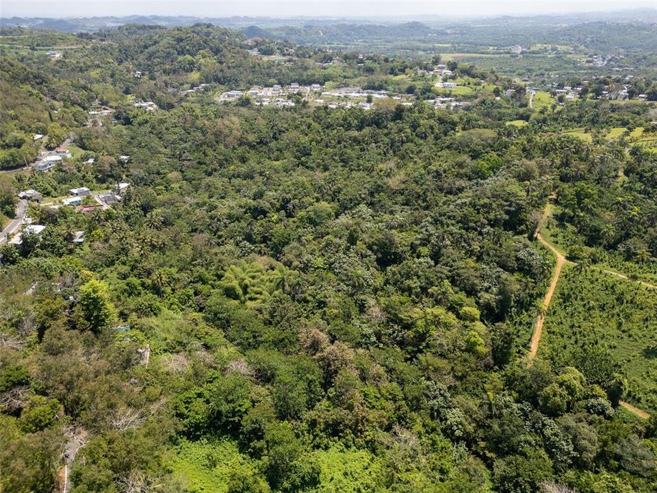 En Venta: $110,000 (7.90 acres)