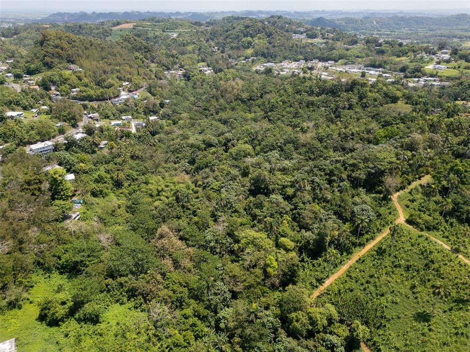 En Venta: $110,000 (7.90 acres)