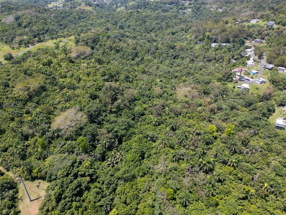 En Venta: $110,000 (7.90 acres)