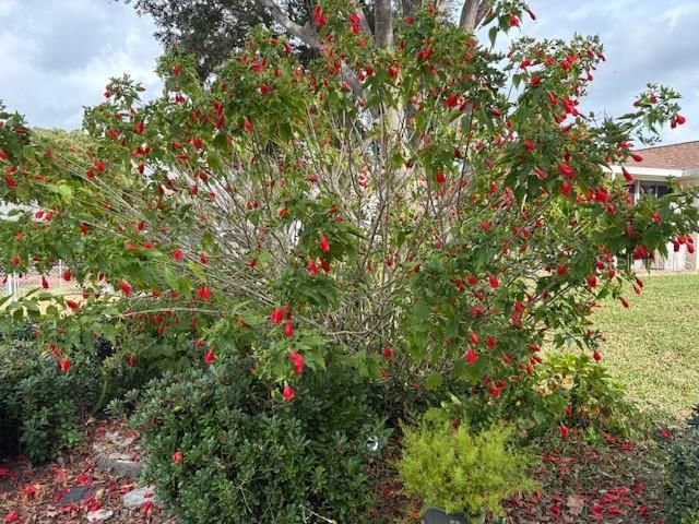 待售: $289,900 (3 贝兹, 2 浴室, 2026 平方英尺)