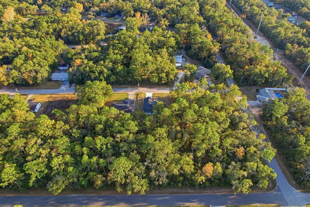 待售: $299,900 (3 贝兹, 2 浴室, 1461 平方英尺)