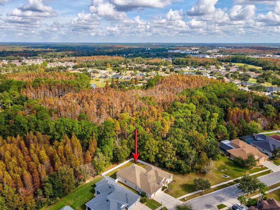 На продажу: $620,000 (4 спален, 3 ванн, 3614 Квадратных фут)