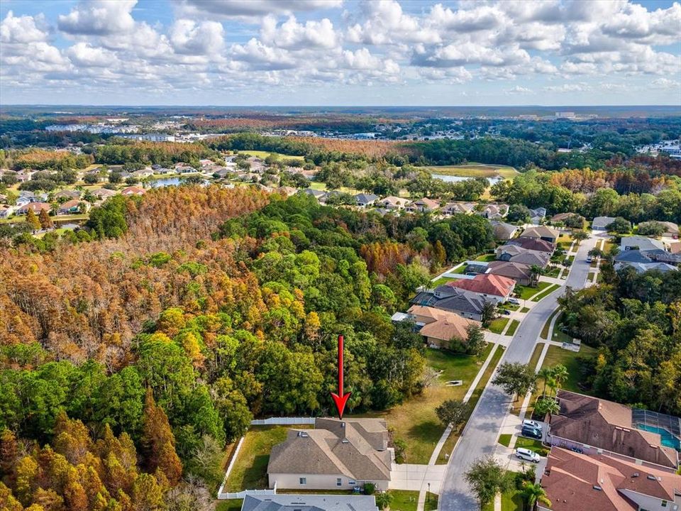 На продажу: $620,000 (4 спален, 3 ванн, 3614 Квадратных фут)