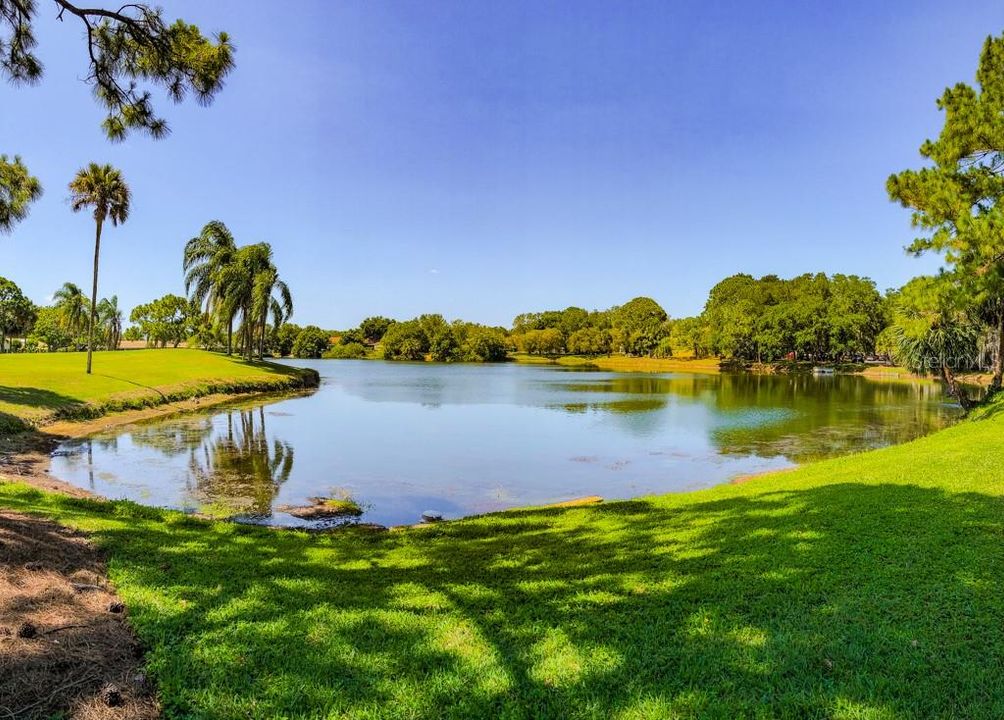 В аренду: $3,300 (3 спален, 2 ванн, 1868 Квадратных фут)