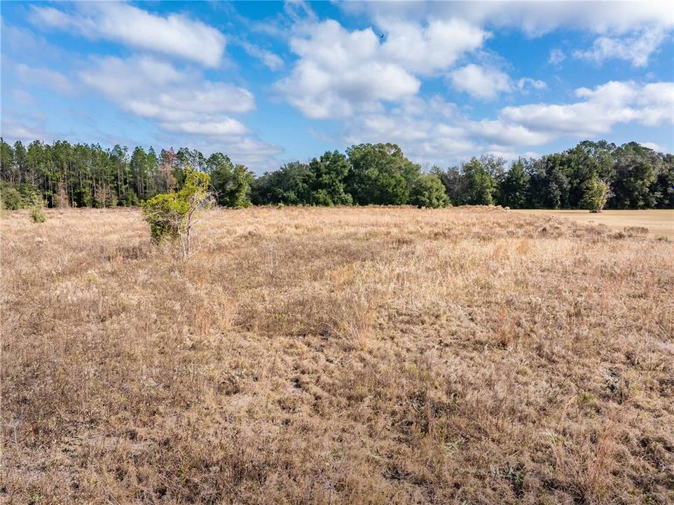 待售: $564,900 (4 贝兹, 3 浴室, 2378 平方英尺)