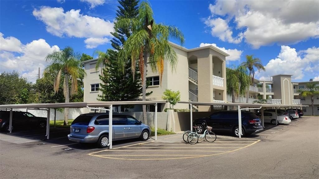 出租: $1,500 (1 贝兹, 1 浴室, 790 平方英尺)