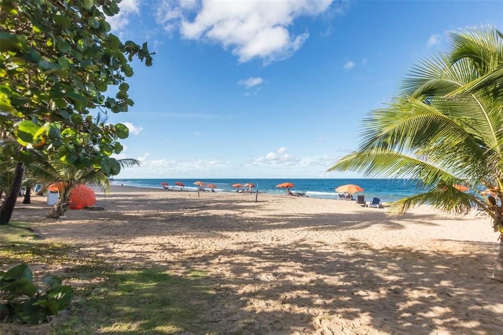 En Renta: $12,500 (3 camas, 2 baños, 2412 Pies cuadrados)