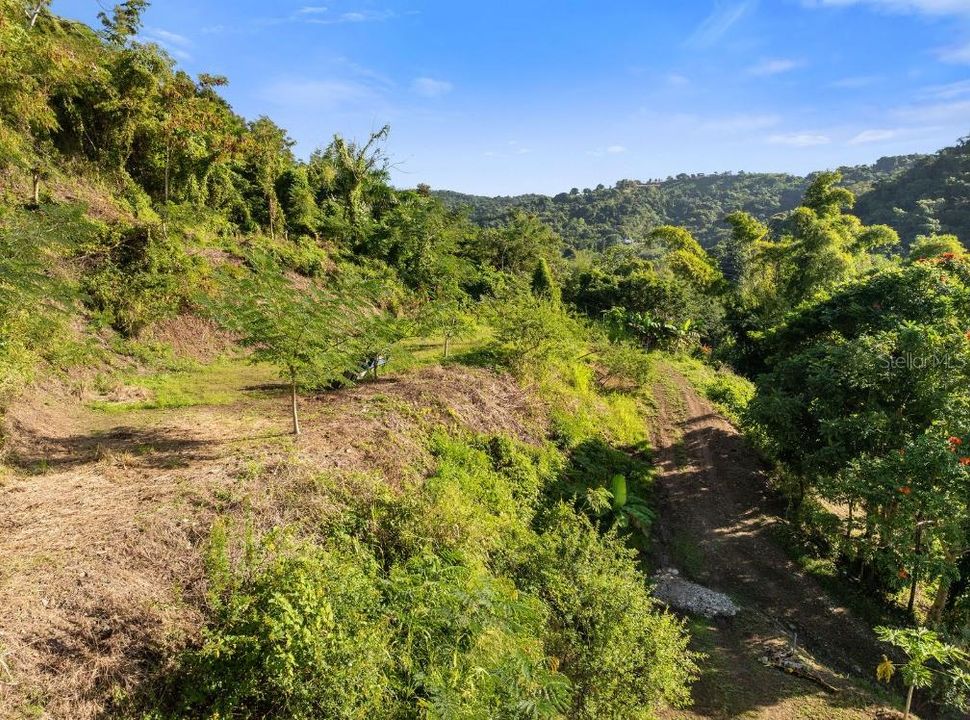 На продажу: $110,000 (0.97 acres)
