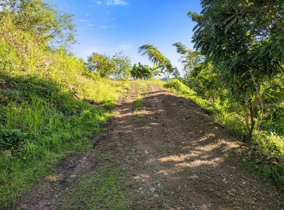 На продажу: $110,000 (0.97 acres)