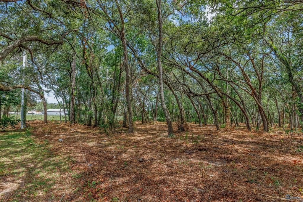 待售: $1,600,000 (1,933,951 平方英尺)