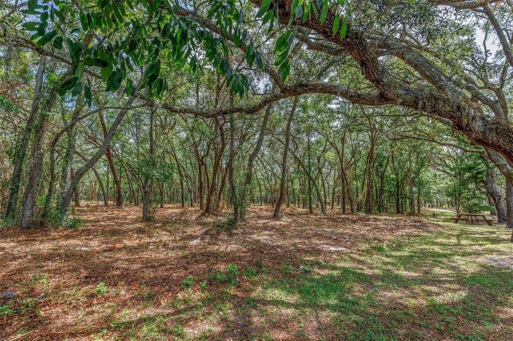 待售: $1,600,000 (1,933,951 平方英尺)