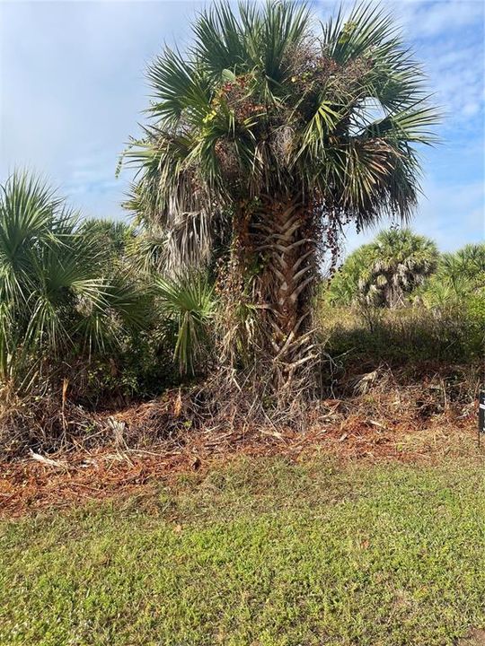 待售: $18,000 (0.24 acres)