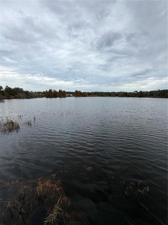 For Sale: $535,000 (5 beds, 3 baths, 2539 Square Feet)