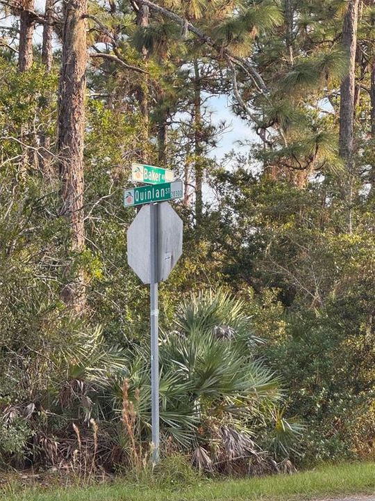 For Sale: $143,000 (1.03 acres)