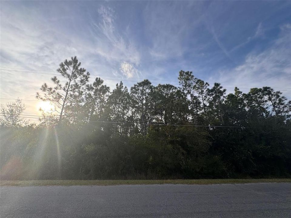 For Sale: $143,000 (1.03 acres)