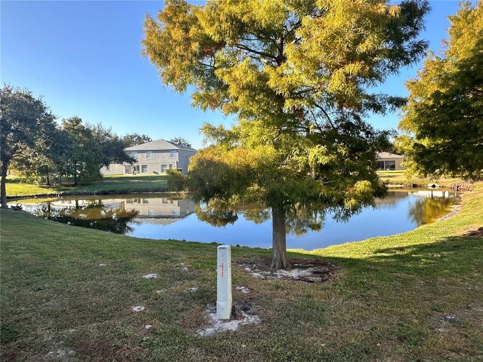 For Rent: $1,800 (2 beds, 1 baths, 1134 Square Feet)