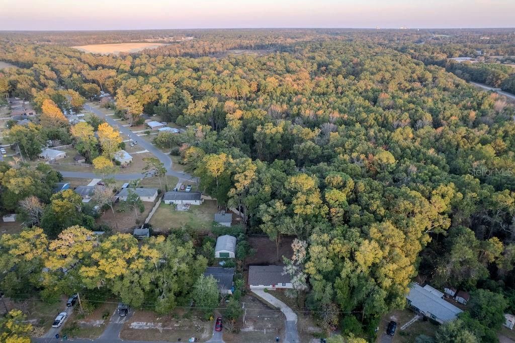 待售: $255,000 (4 贝兹, 1 浴室, 1456 平方英尺)