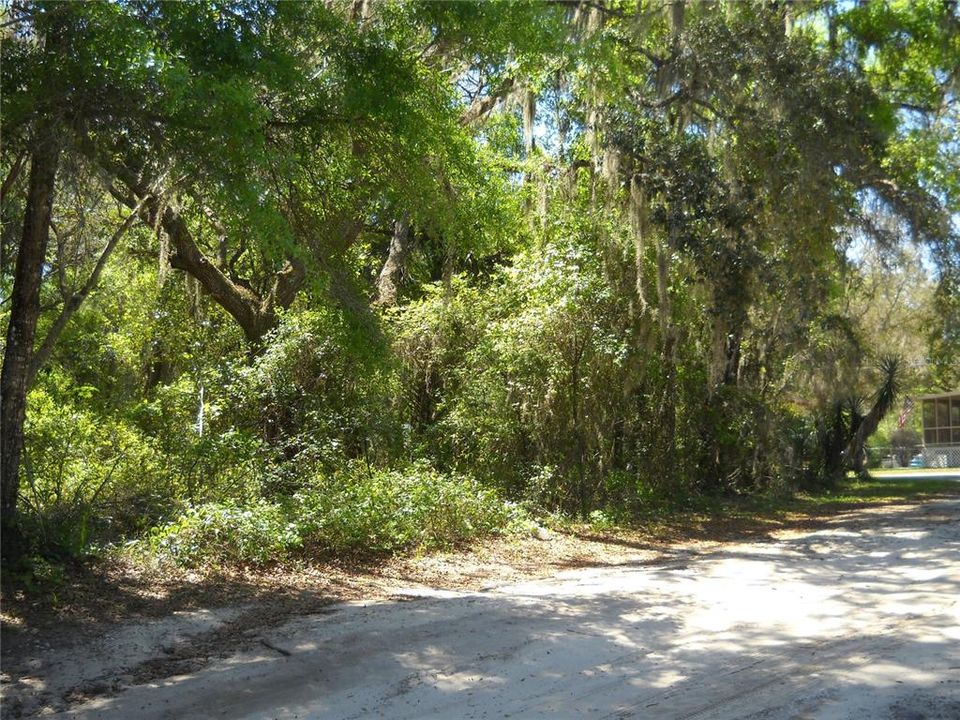 待售: $14,000 (0.51 acres)