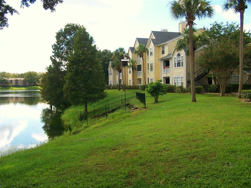 出租: $1,250 (1 贝兹, 1 浴室, 673 平方英尺)