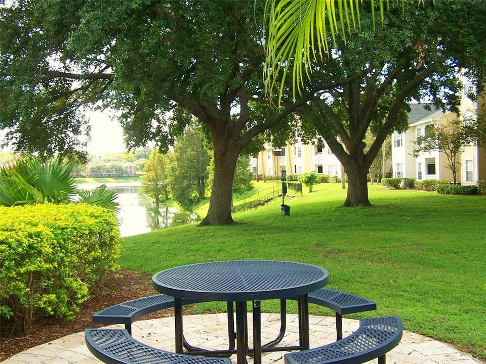 出租: $1,250 (1 贝兹, 1 浴室, 673 平方英尺)