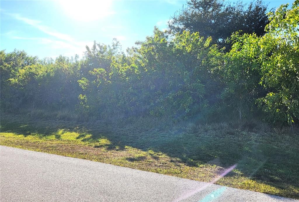 На продажу: $23,900 (0.23 acres)