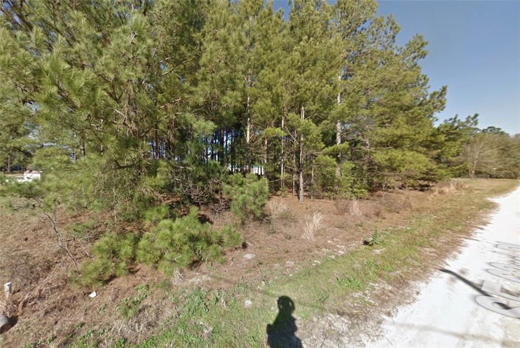 For Sale: $27,995 (1.25 acres)
