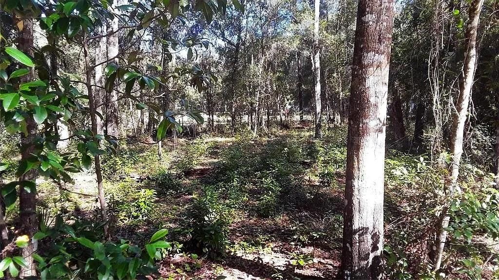 待售: $12,500 (0.42 acres)