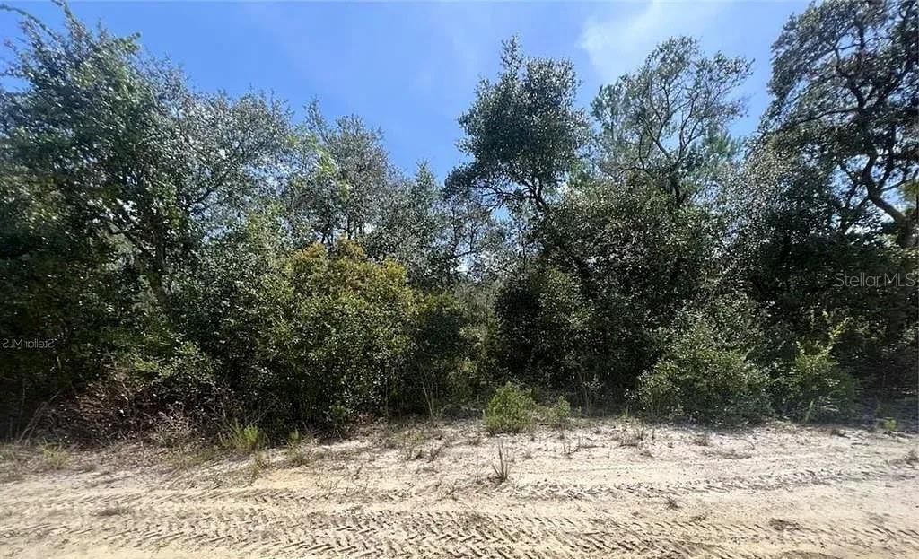 待售: $12,500 (0.42 acres)