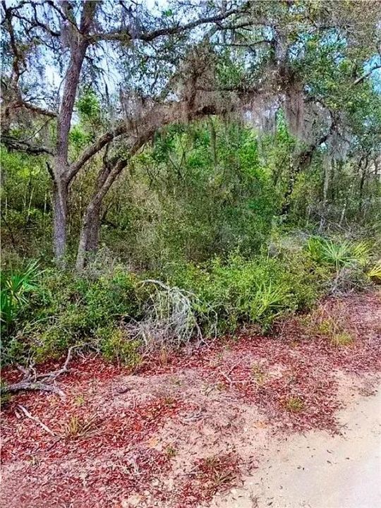 待售: $12,500 (0.42 acres)