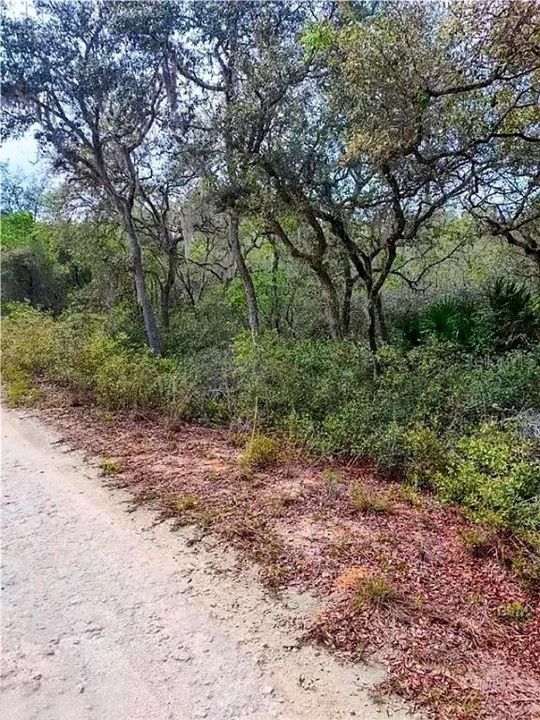 待售: $12,500 (0.42 acres)