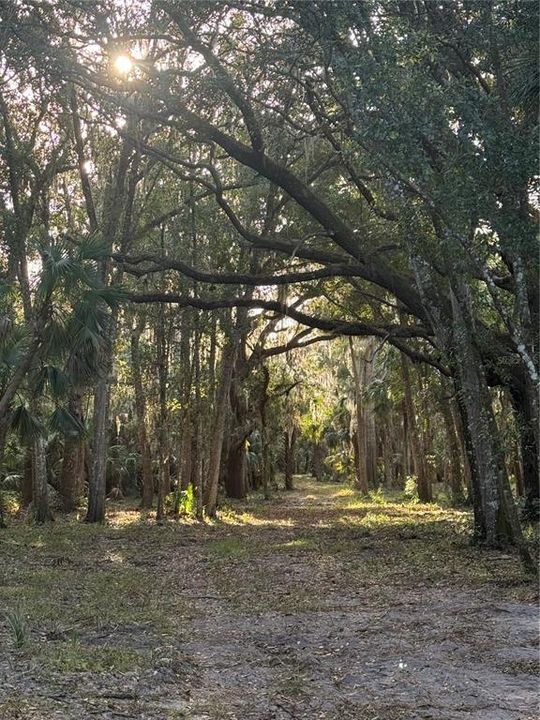 待售: $2,900,000 (6.00 acres)