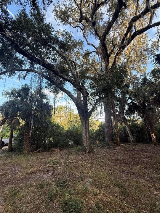 待售: $2,900,000 (6.00 acres)