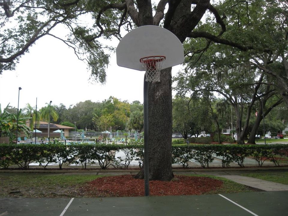 В аренду: $1,475 (1 спален, 1 ванн, 700 Квадратных фут)