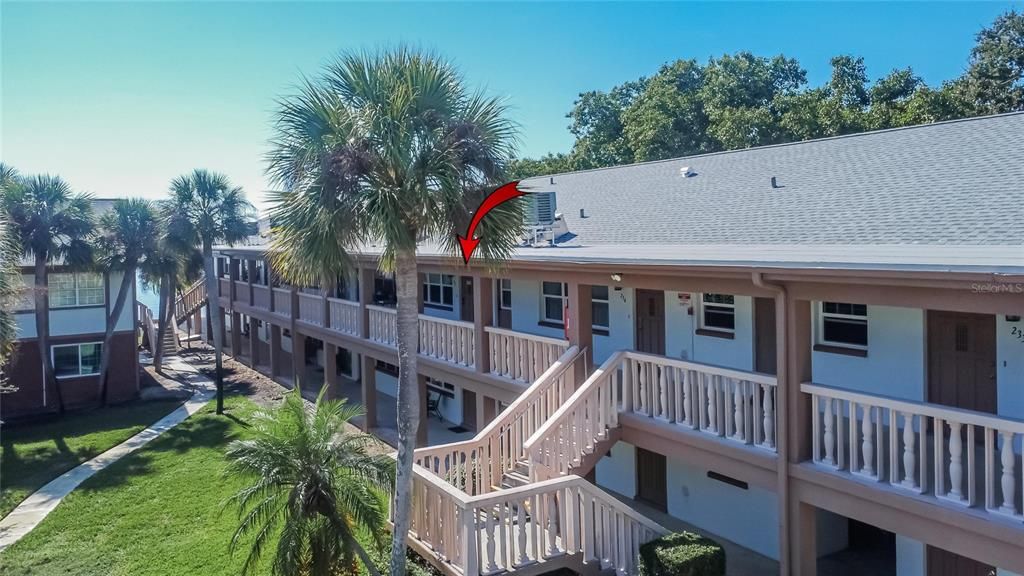 出租: $1,800 (1 贝兹, 1 浴室, 650 平方英尺)