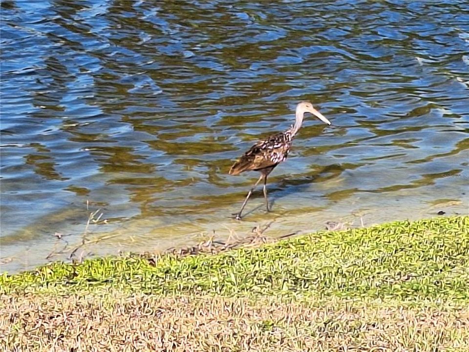 待售: $340,000 (3 贝兹, 2 浴室, 1754 平方英尺)