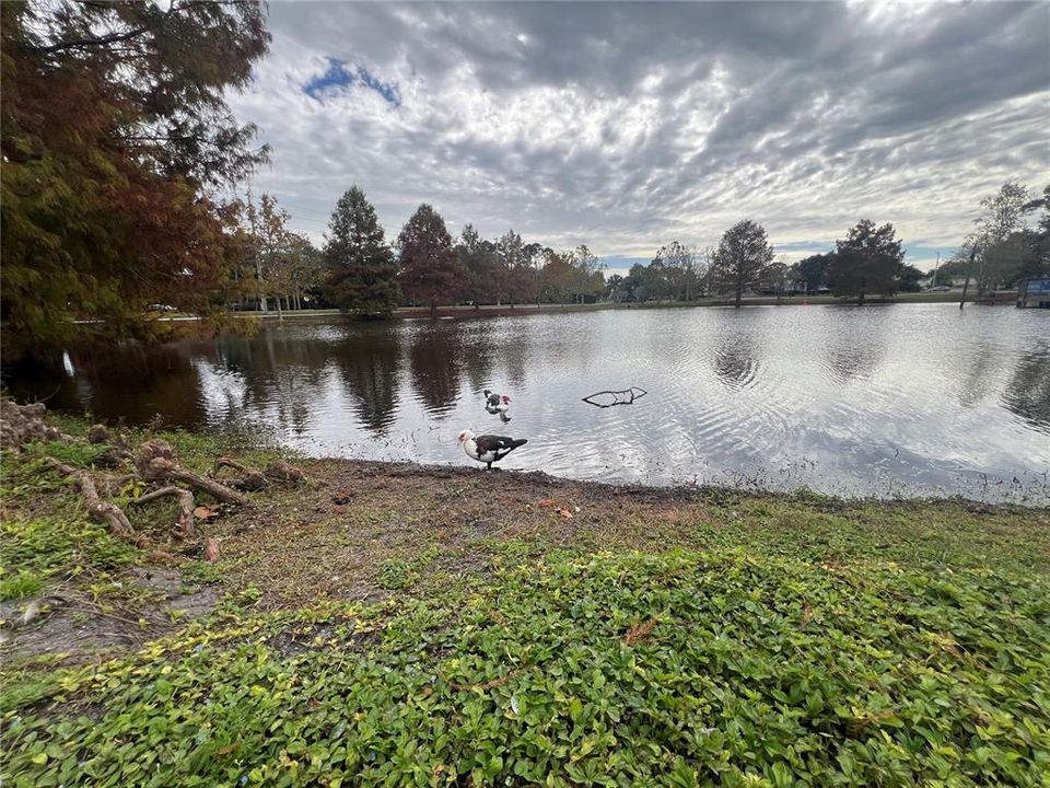 For Sale: $335,000 (3 beds, 1 baths, 1188 Square Feet)