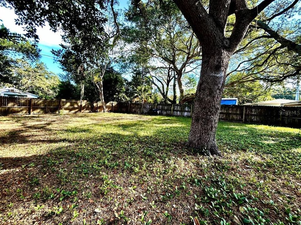 出租: $2,125 (3 贝兹, 1 浴室, 922 平方英尺)