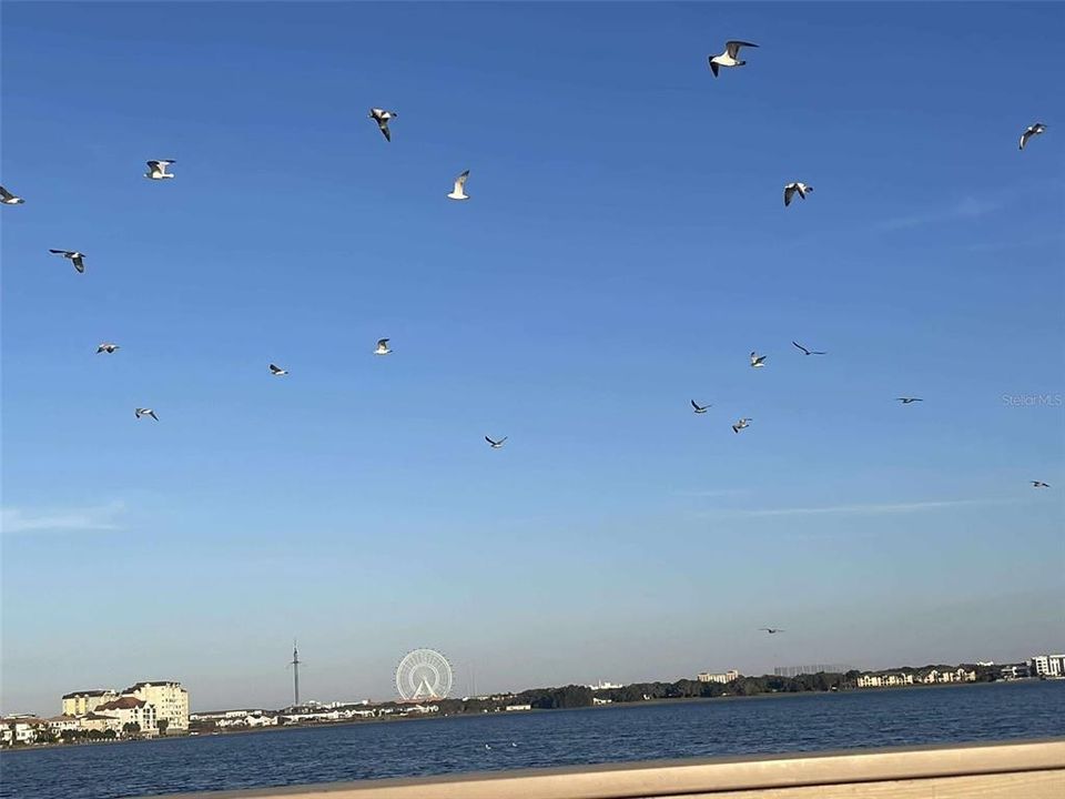 出租: $6,995 (6 贝兹, 5 浴室, 4276 平方英尺)