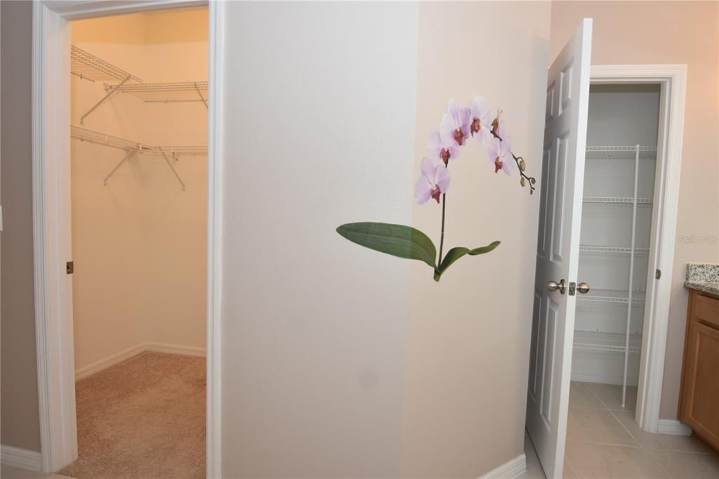 En Renta: $2,100 (3 camas, 2 baños, 1832 Pies cuadrados)