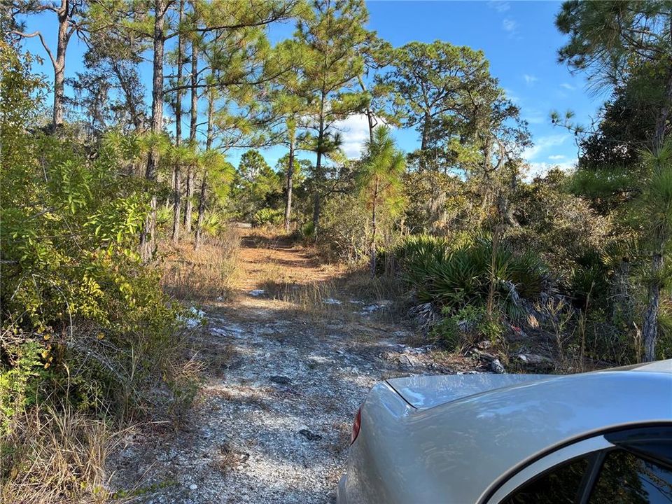 For Sale: $10,000 (0.23 acres)