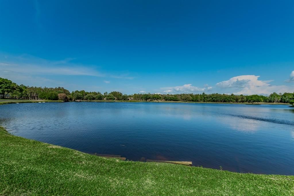 For Rent: $1,550 (1 beds, 1 baths, 610 Square Feet)