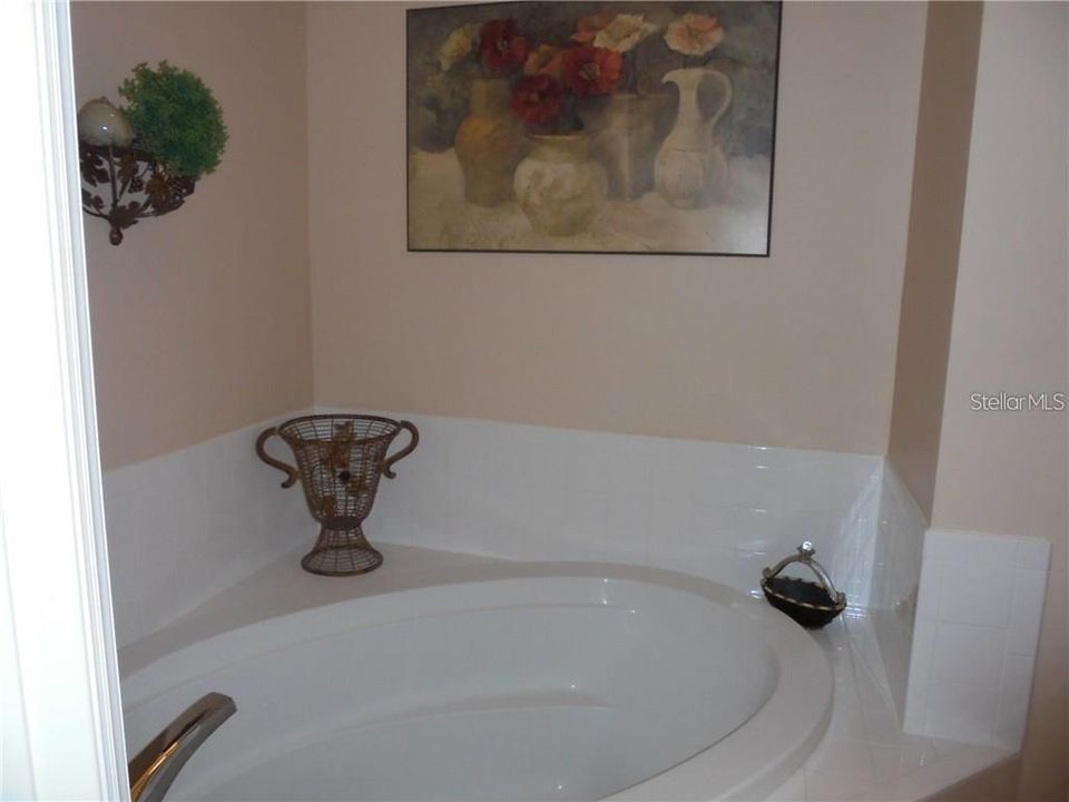 出租: $3,000 (3 贝兹, 2 浴室, 1498 平方英尺)