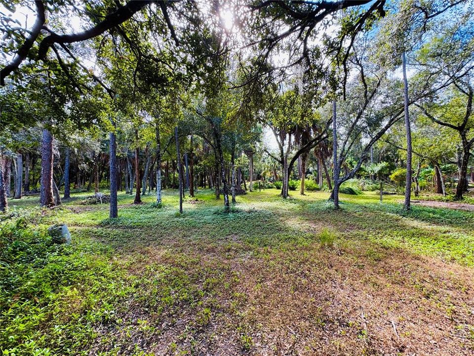 待售: $474,900 (2 贝兹, 2 浴室, 1717 平方英尺)