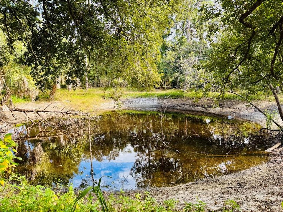 待售: $474,900 (2 贝兹, 2 浴室, 1717 平方英尺)